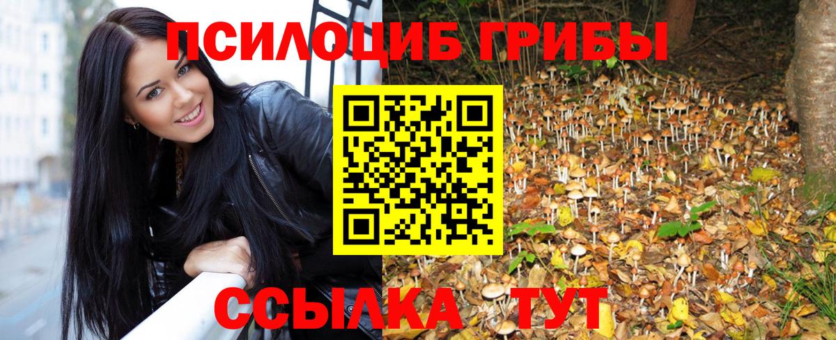 Гусиноозёрск  Псилоцибиновые грибы мухоморы  Вход с VPN 