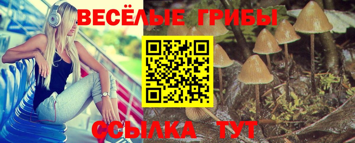 Галлюциногенные грибы мухоморы Гусиноозёрск